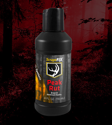 ScrapeFix Peak Rut